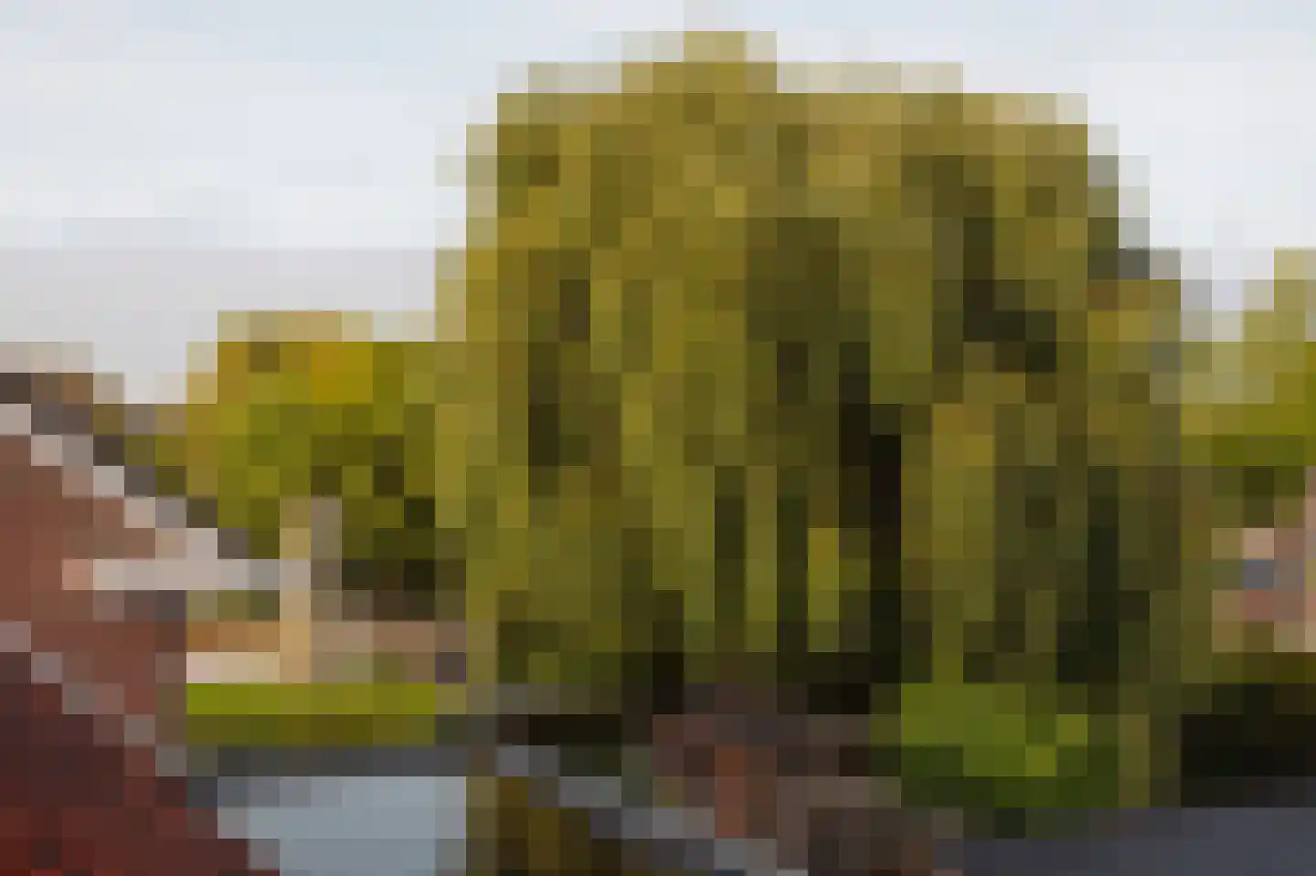 Noorderakerweg 30 Amsterdam thumbnail 39