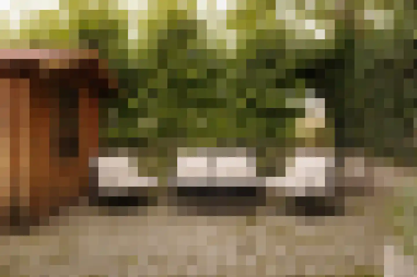 Noorderakerweg 30 Amsterdam thumbnail 40