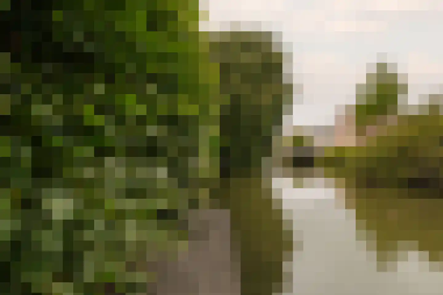 Noorderakerweg 30 Amsterdam thumbnail 41