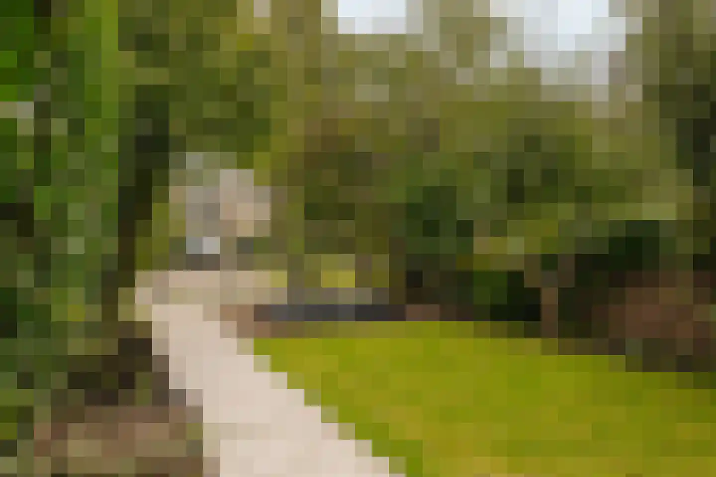 Noorderakerweg 30 Amsterdam thumbnail 44