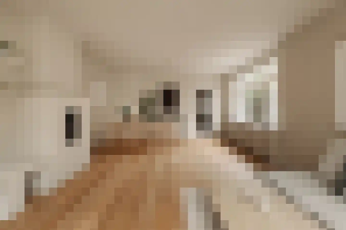 Noorderakerweg 30 Amsterdam thumbnail 5