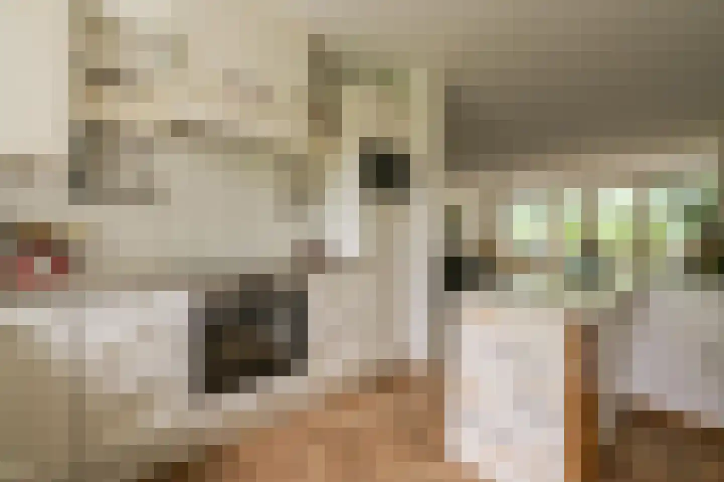 Noorderakerweg 52 Amsterdam thumbnail 17