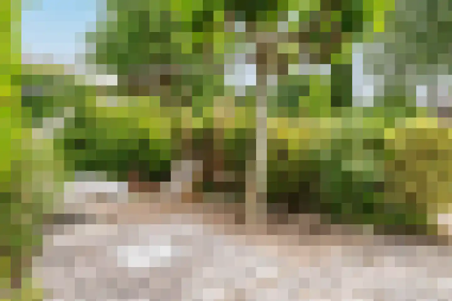 Noorderakerweg 52 Amsterdam thumbnail 6