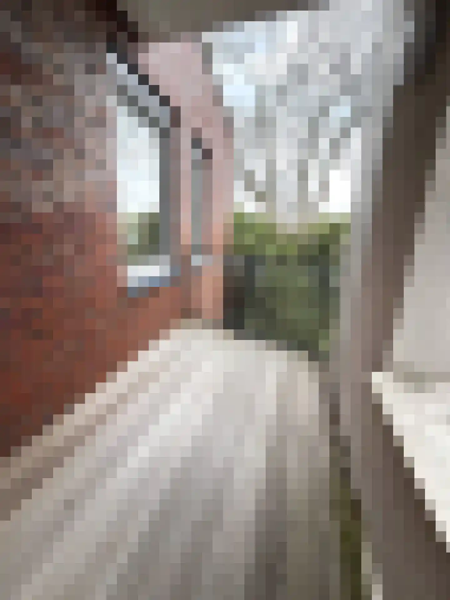 Noorderakerweg 90 D Amsterdam thumbnail 16