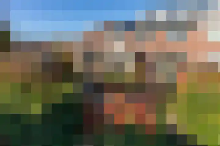 Noorderbaan 19 Vlissingen thumbnail 40
