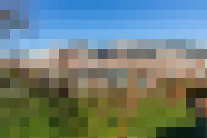 Noorderbaan 19 Vlissingen thumbnail 45