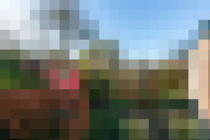 Noorderbaan 19 Vlissingen thumbnail 46