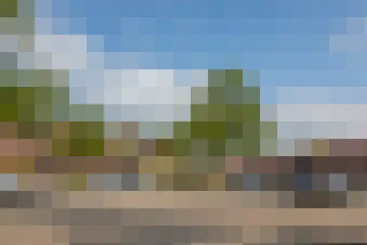 Noorderbaan 19 Vlissingen thumbnail 50