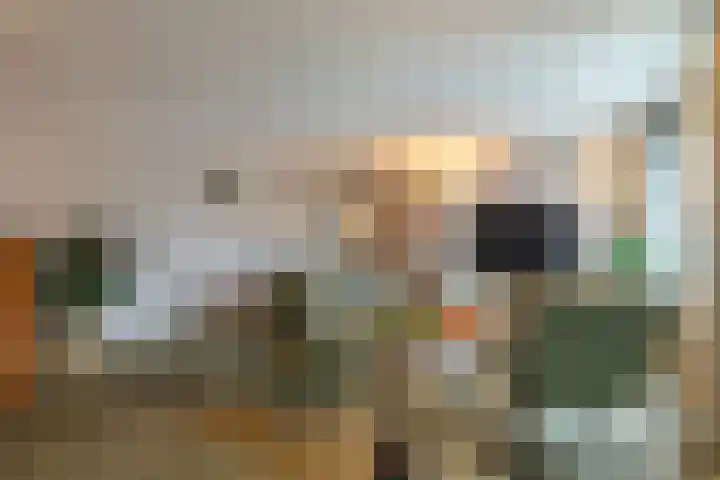 Noorderbaan 19 Vlissingen thumbnail 6