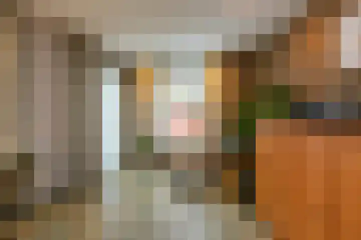 Noorderbaan 19 Vlissingen thumbnail 7