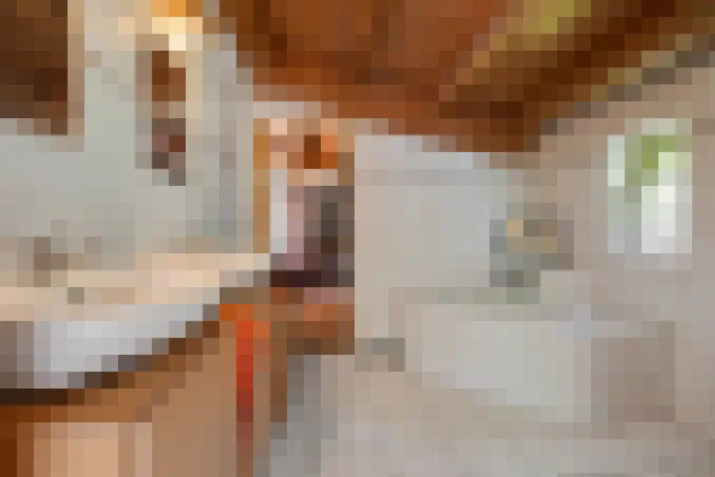Noorderbaan 25 Biddinghuizen thumbnail 13