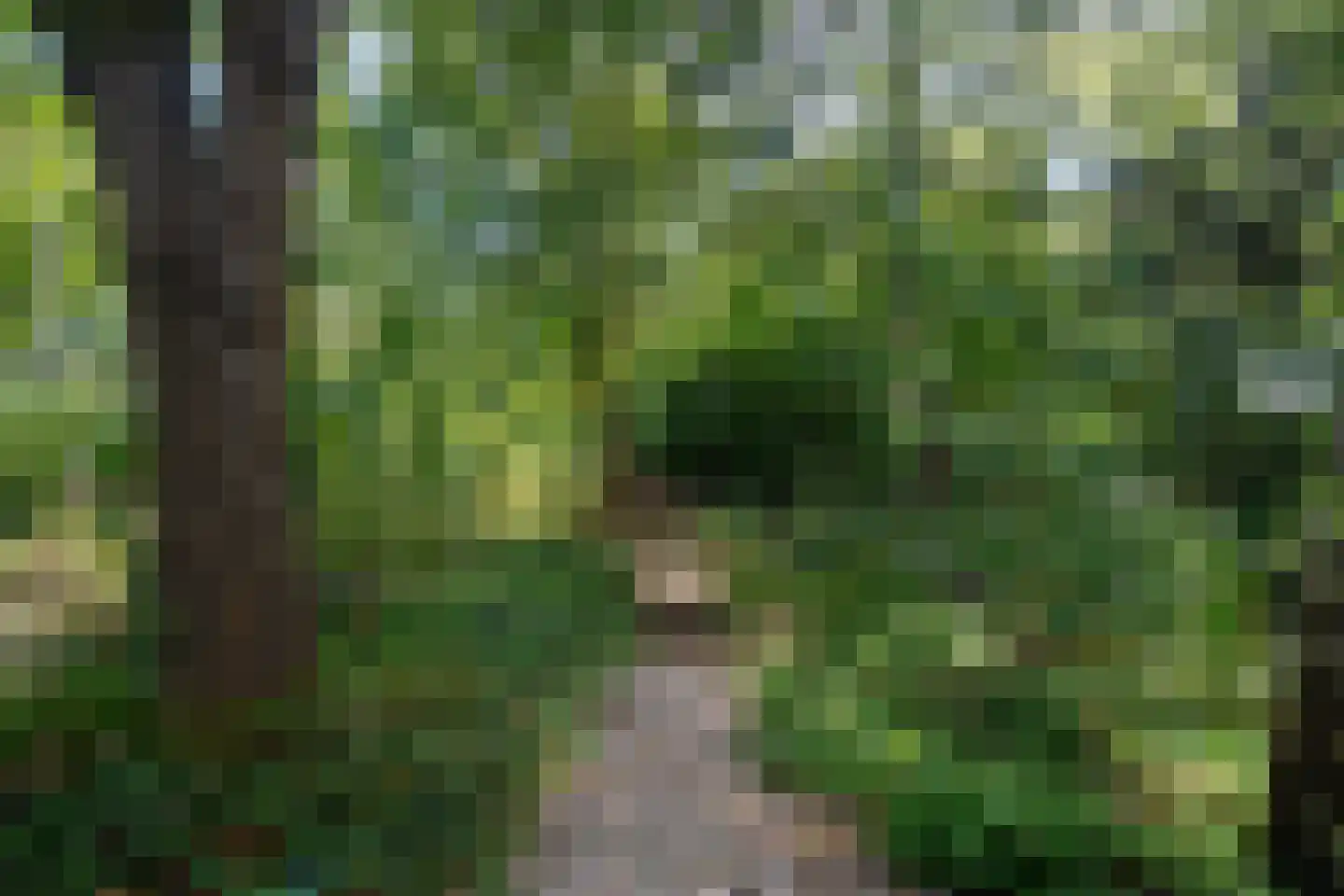 Noorderbaan 25 Biddinghuizen thumbnail 27