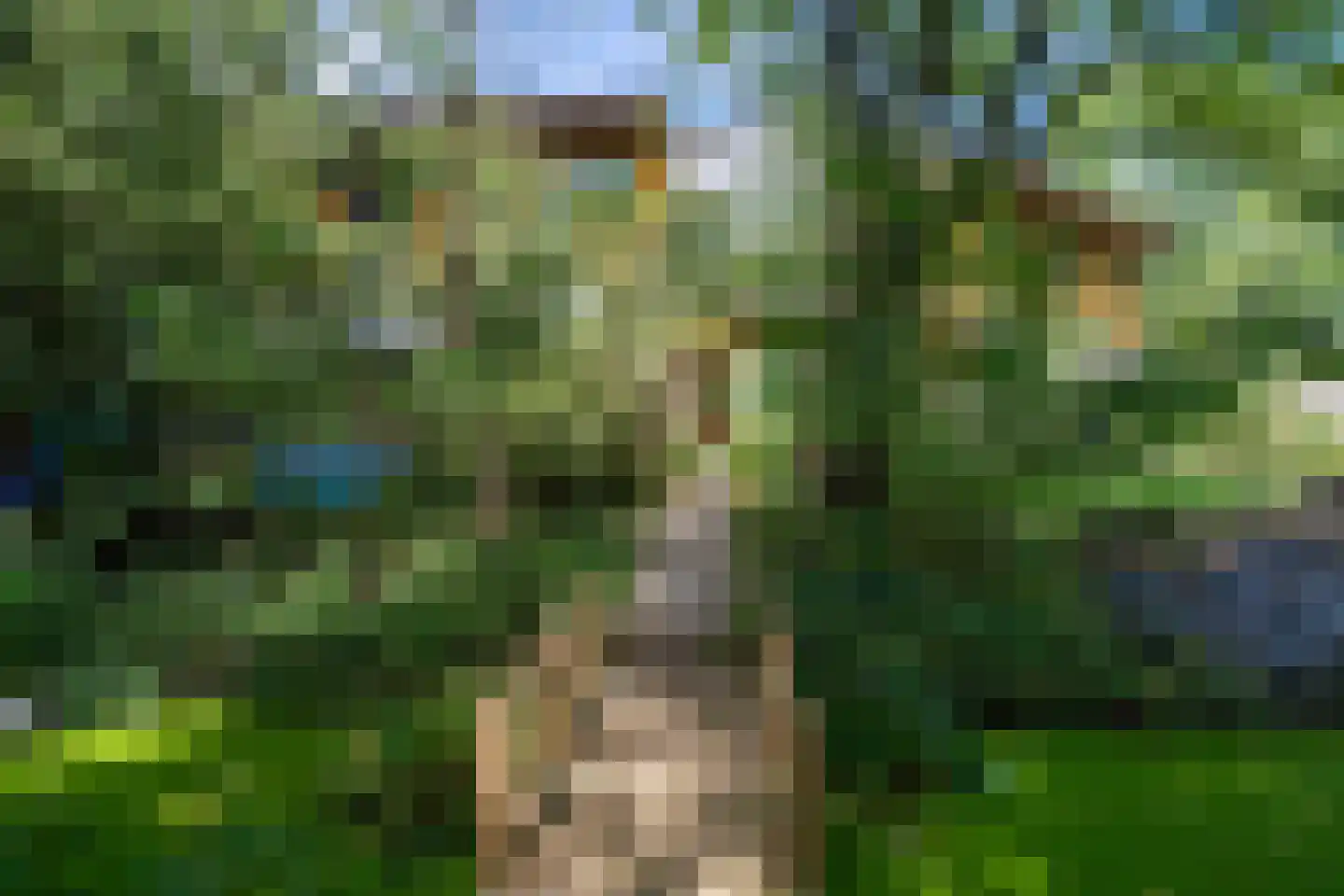 Noorderbaan 25 Biddinghuizen thumbnail 28