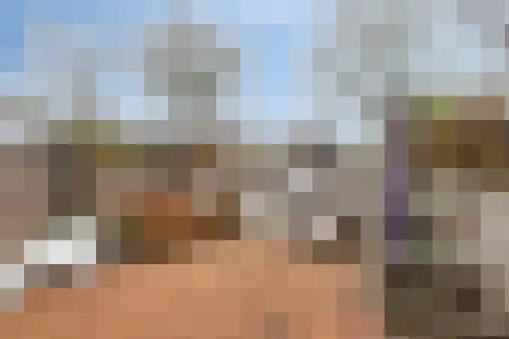 Noorderbaan 74 Vlissingen thumbnail 35