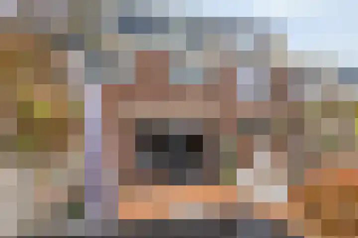 Noorderbaan 74 Vlissingen thumbnail 38
