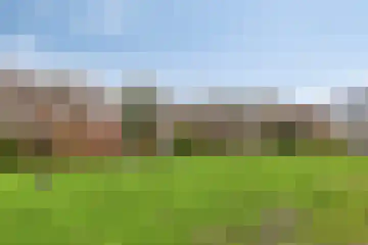 Noorderbaan 74 Vlissingen thumbnail 41