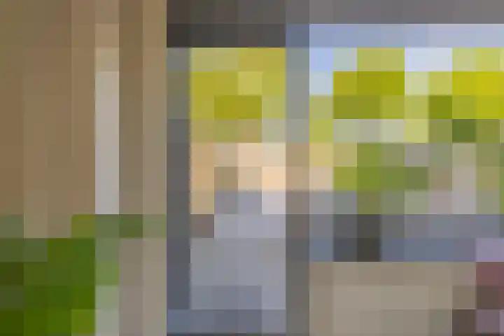 Noorderbaan 80 Vlissingen thumbnail 13