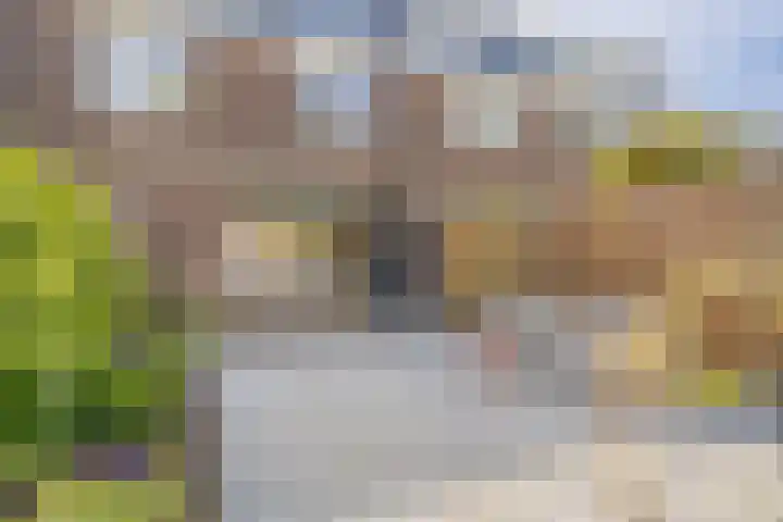 Noorderbaan 80 Vlissingen thumbnail 17