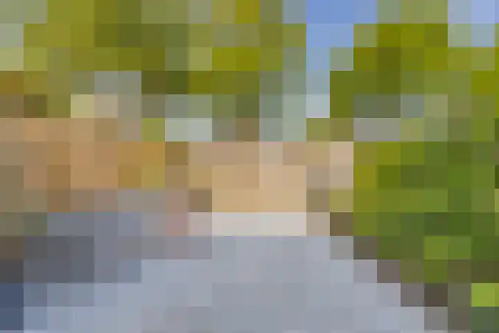 Noorderbaan 80 Vlissingen thumbnail 18