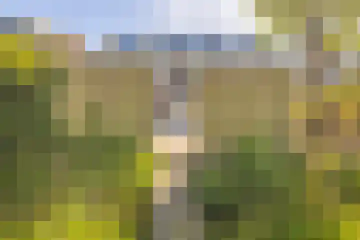 Noorderbaan 80 Vlissingen thumbnail 19