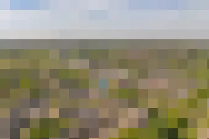Noorderbaan 80 Vlissingen thumbnail 4