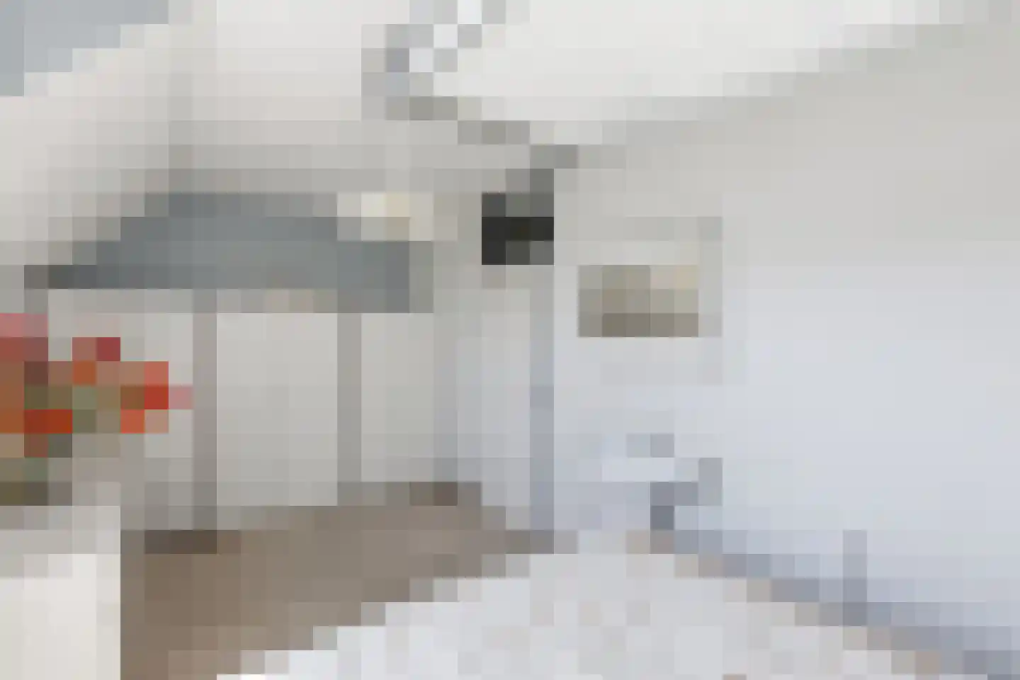 Noorderbaan 82 Vlissingen thumbnail 18