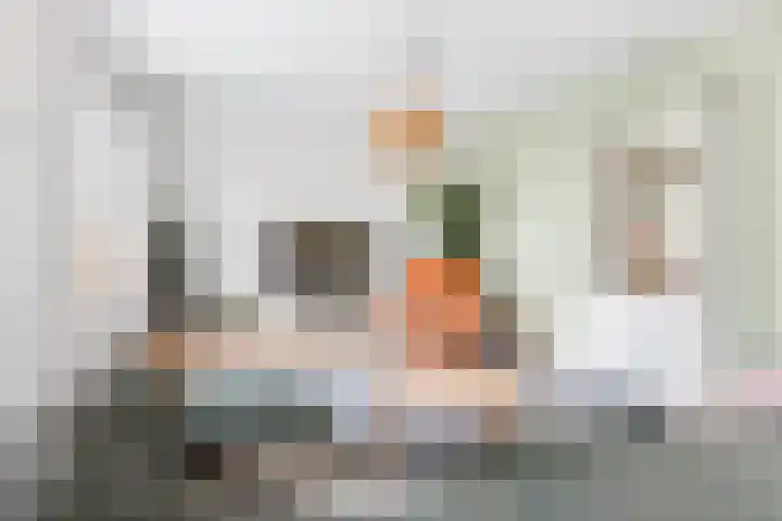 Noorderbalgen 3 Harlingen thumbnail 10