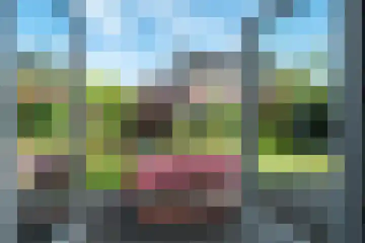Noorderbalgen 3 Harlingen thumbnail 22