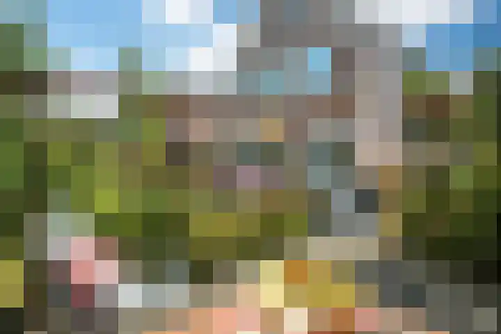 Noorderbalgen 3 Harlingen thumbnail 23