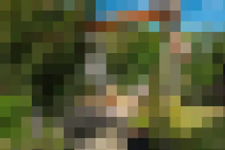 Noorderbalgen 3 Harlingen thumbnail 24
