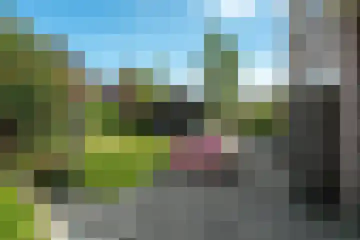 Noorderbalgen 3 Harlingen thumbnail 25