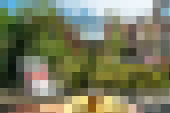 Noorderbalgen 3 Harlingen thumbnail 26