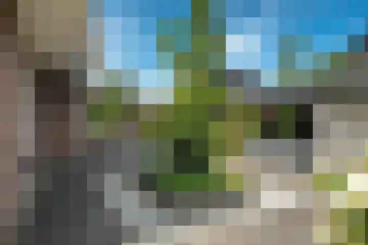 Noorderbalgen 3 Harlingen thumbnail 27