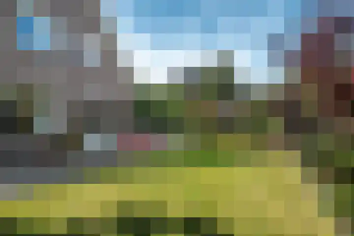 Noorderbalgen 3 Harlingen thumbnail 28