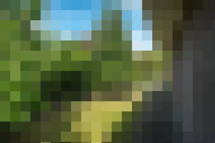 Noorderbalgen 3 Harlingen thumbnail 31