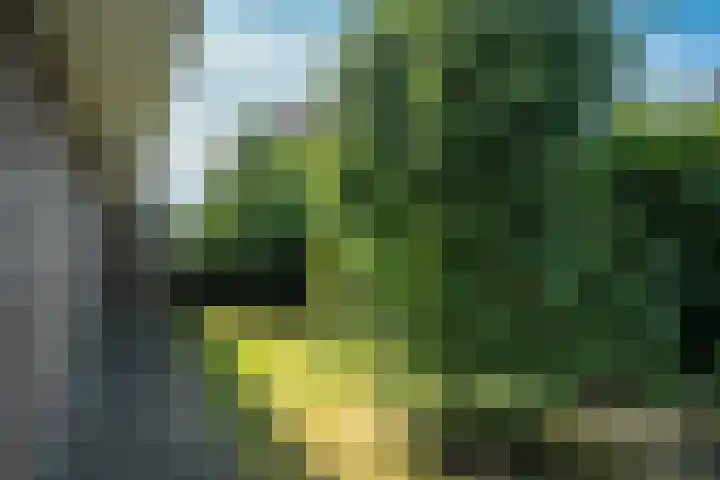Noorderbalgen 3 Harlingen thumbnail 32