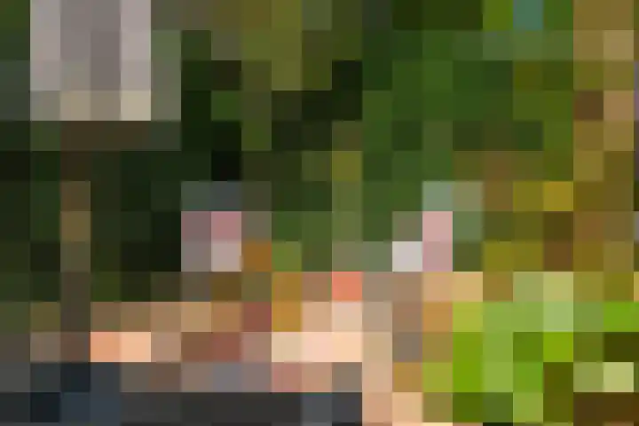 Noorderbalgen 3 Harlingen thumbnail 34