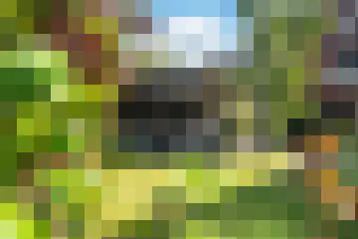 Noorderbalgen 3 Harlingen thumbnail 35