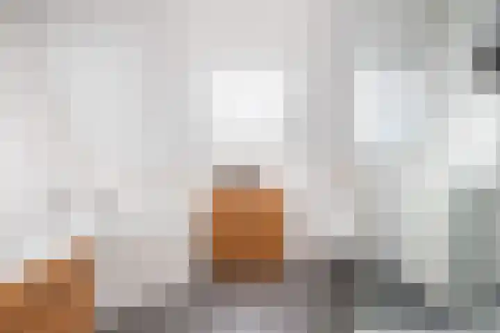 Noorderbalgen 3 Harlingen thumbnail 41
