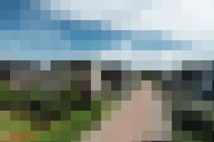Noorderbalgen 3 Harlingen thumbnail 54