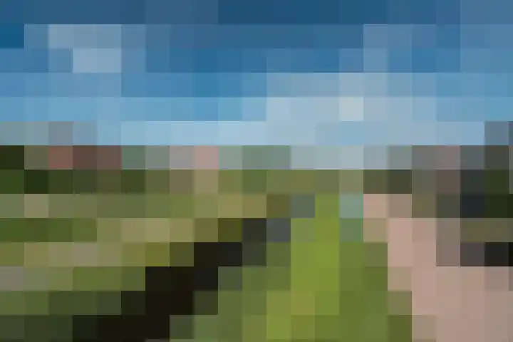 Noorderbalgen 3 Harlingen thumbnail 55