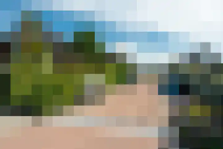 Noorderbalgen 3 Harlingen thumbnail 56