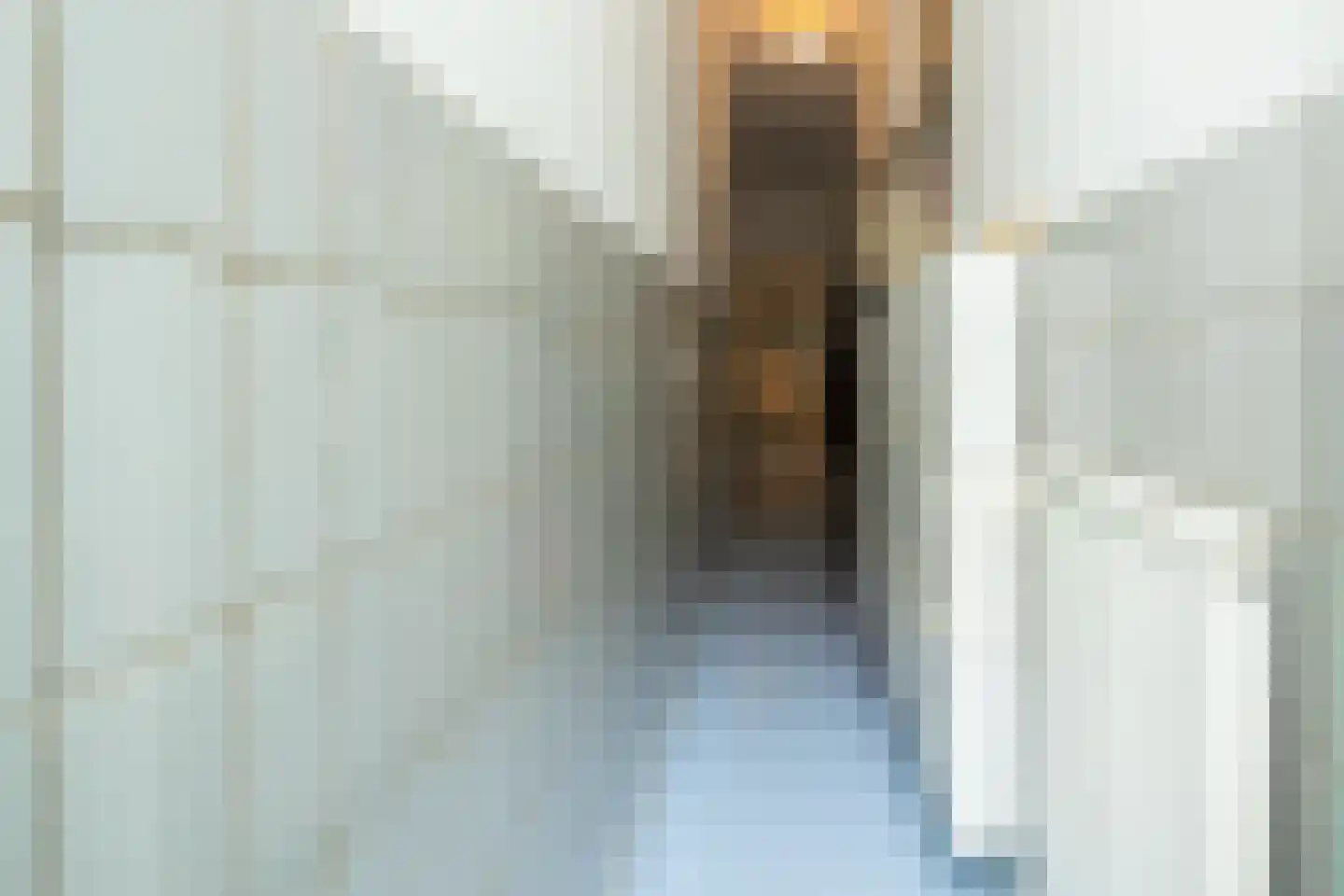 Noorderbeekdwarsstraat 102 Den Haag thumbnail 7