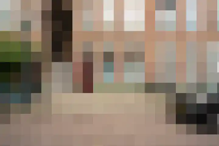 Noorderbeekdwarsstraat 111 Den Haag thumbnail 33