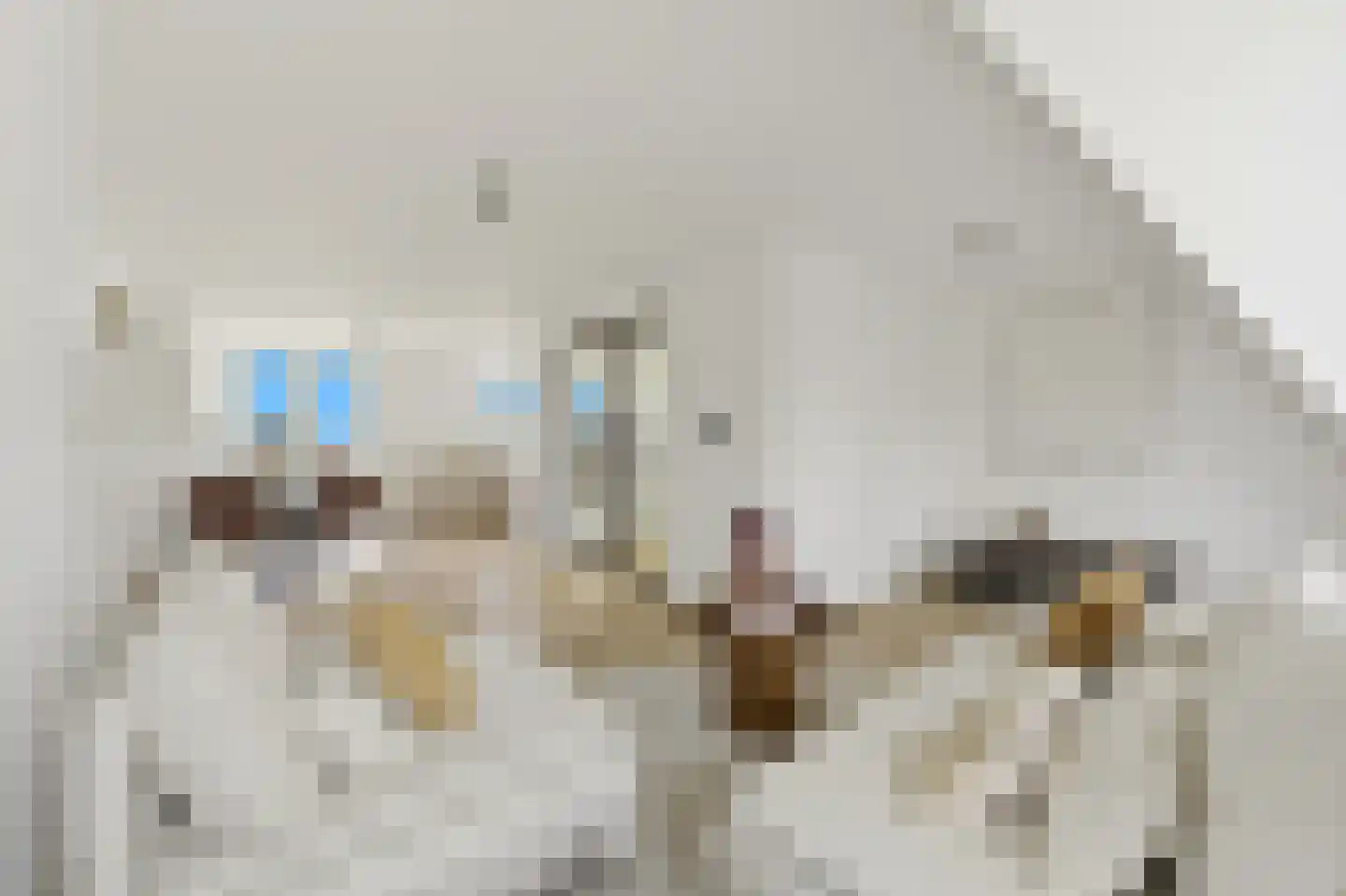 Noorderbeekdwarsstraat 126 A in Den Haag