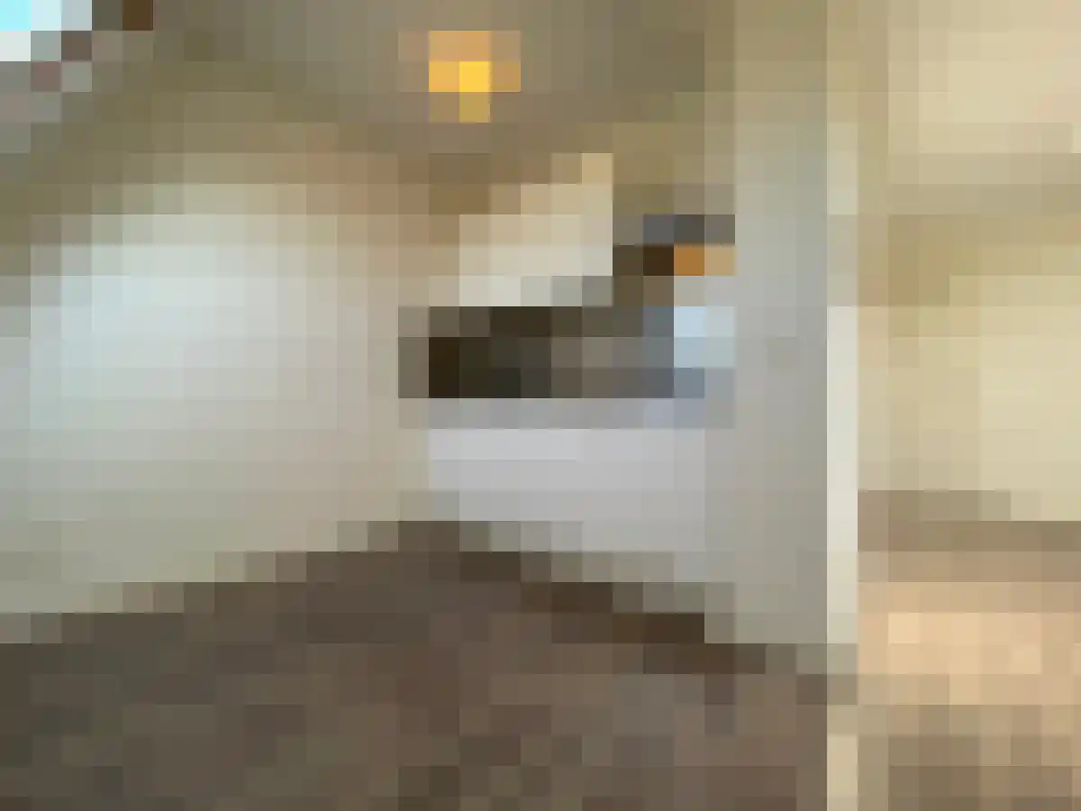 Noorderbeekdwarsstraat 5 Den Haag thumbnail 5