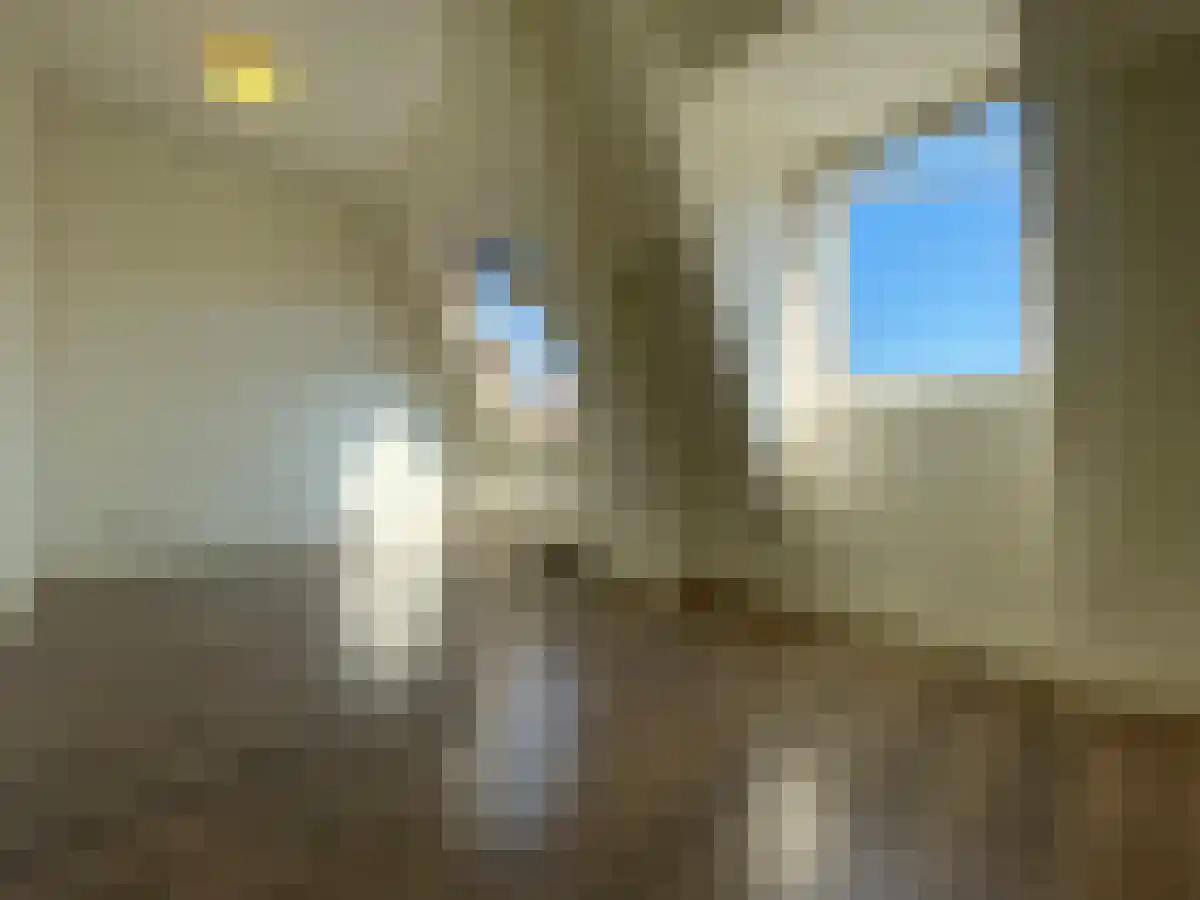 Noorderbeekdwarsstraat 5 Den Haag thumbnail 6