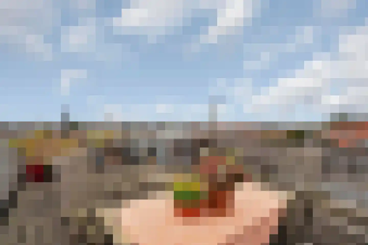 Noorderbeekstraat 230 Den Haag thumbnail 4