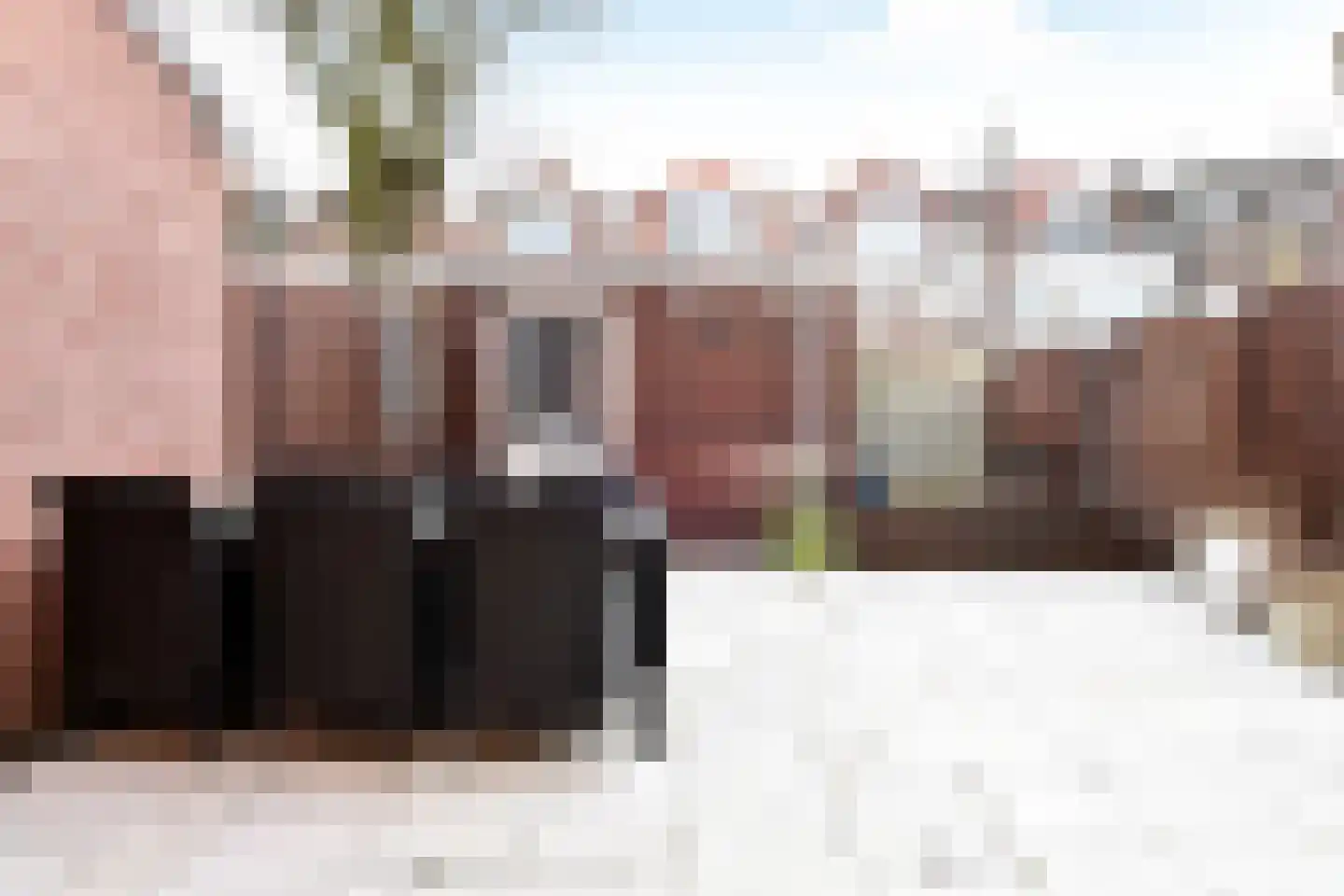 Noorderbeekstraat 52 Den Haag thumbnail 32