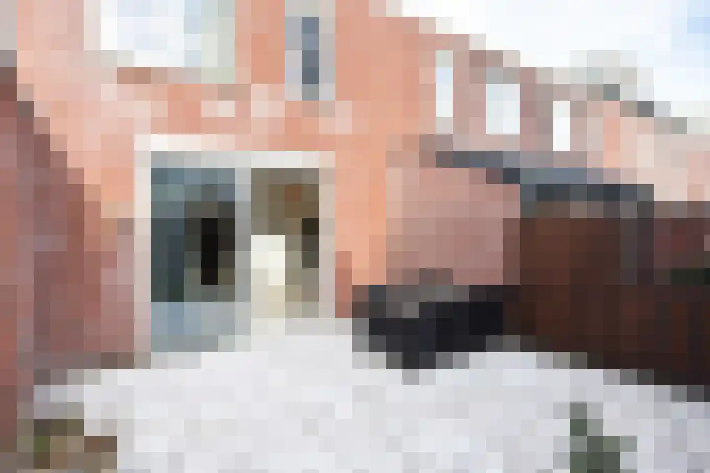 Noorderbeekstraat 52 Den Haag thumbnail 34